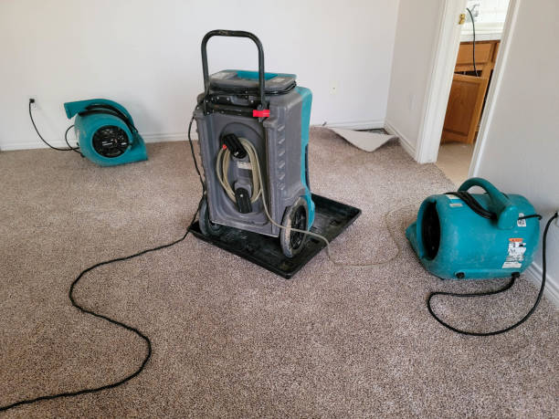 Best Carpet water damage restoration  in Sandy, OR