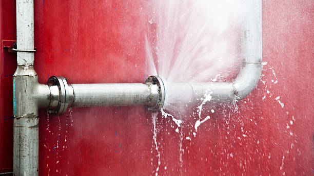 Best Mold removal after water damage  in Sandy, OR